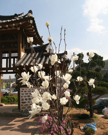 온수리 마을과 성공회 성당에서 사진