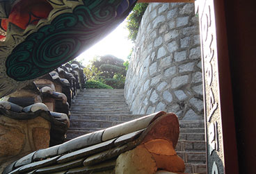 소림사 계단 사진