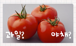 토마토는 과일일까? 야채일까?